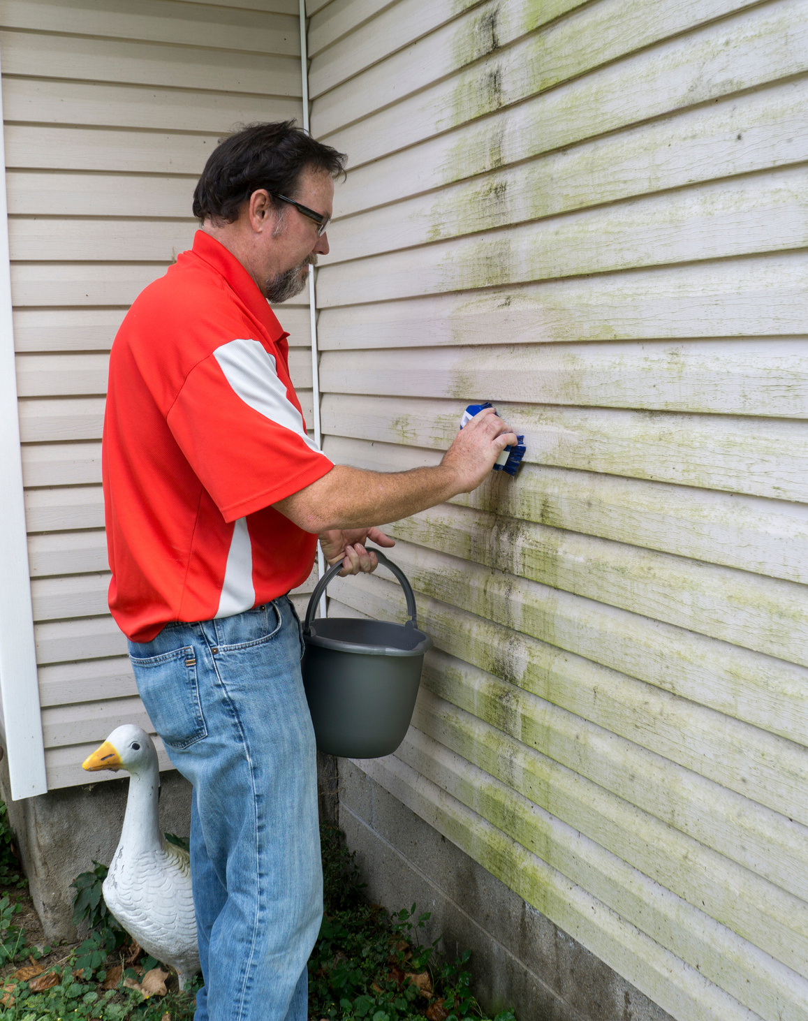 Contractor Cleaning Algae And Mold From Vinyl Siding